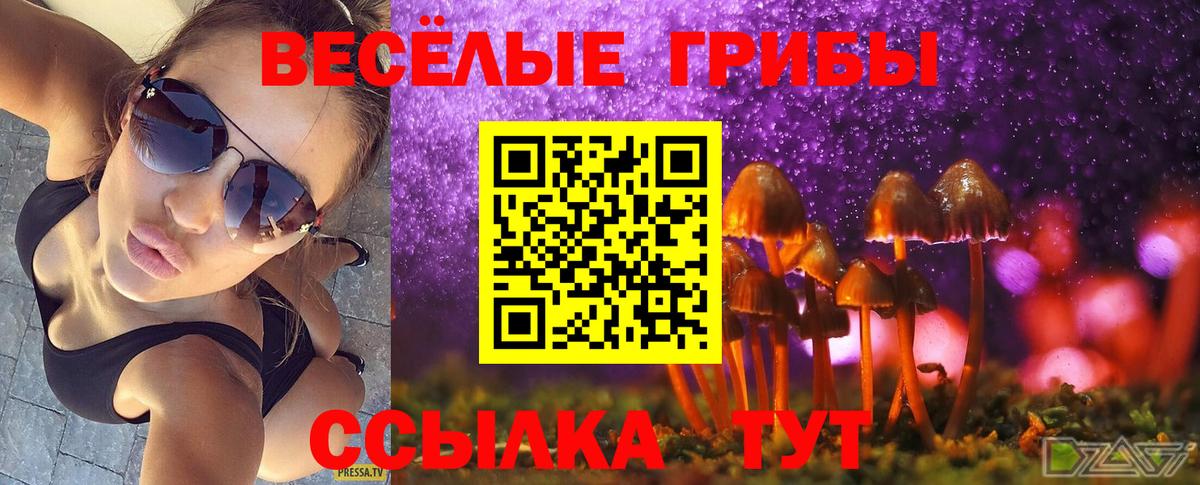 Красный Сулин  цены наркотик  Вход с VPN  Галлюциногенные грибы GOLDEN TEACHER 